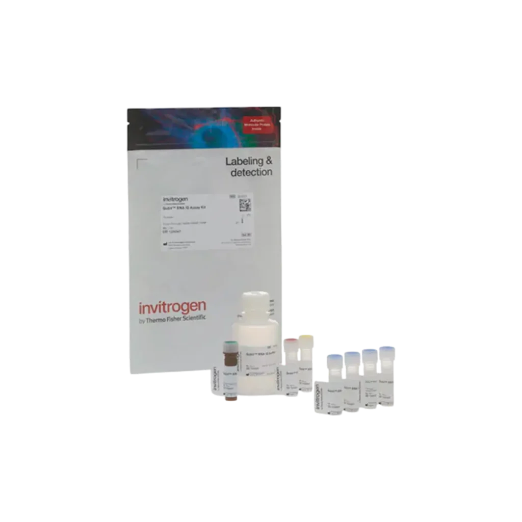 KIT DE ENSAYO QUBIT IQ RNA