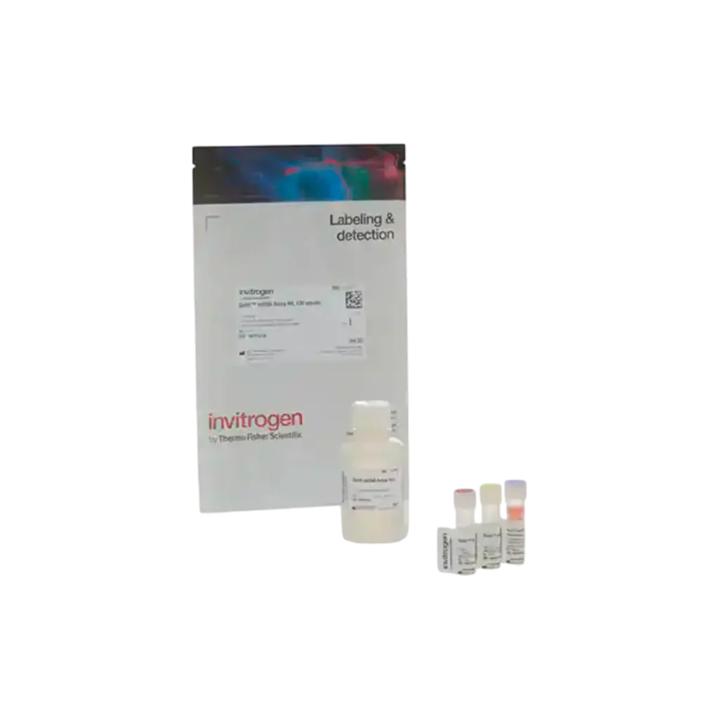 KIT DE ENSAYO QUBIT SSDNA